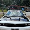guanakoloko_503