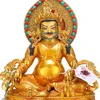 dng.5207418