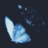 suhadllc