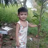banhmi1988