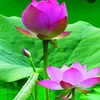 useri432i2nzjb
