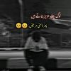 alimughal7656