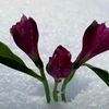 user1472017500962
