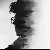 8_wolf