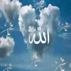 nez75hek