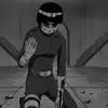 mir_2f2