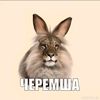Имя пользователя