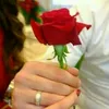 khurshid.120
