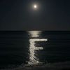user_almadina