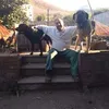 massimomaiellaro2