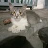 cangkir365