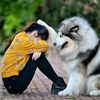 hawar__4