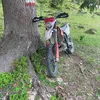 toni_187361