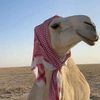 saud.5006