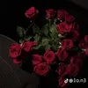 jkx_106
