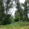 lunauserluna1
