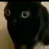 lgfiujgm