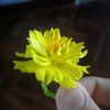 khinemyolwin45
