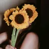 sweetmind10