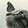 zacarias._2025