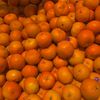 fruityzzzz1