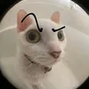 anhba_xi