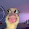 l0velypwettiee