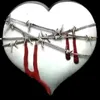 lester_328