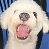 thwnhain_lil