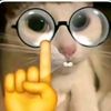 renxzy255