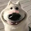 llongp