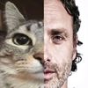 thewalking.dj