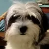 manuelnisesabe