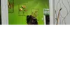 urprttypaupau