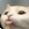 pigleetofh