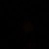 neele_bntl133