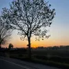sjelkee