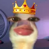 bongiuu_184