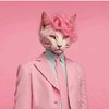 kucingmagenta