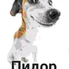 pupsik1k