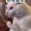 mrcunld