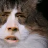 zxcfursed1