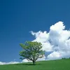 randomly_y