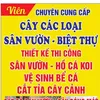 hoangvienhocakoi