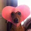 alxnepo