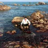 mayxanh1988