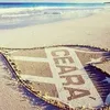 paulovieira639