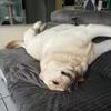 matheo1231234