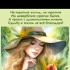 user3245568653229