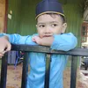 lalatvshijau